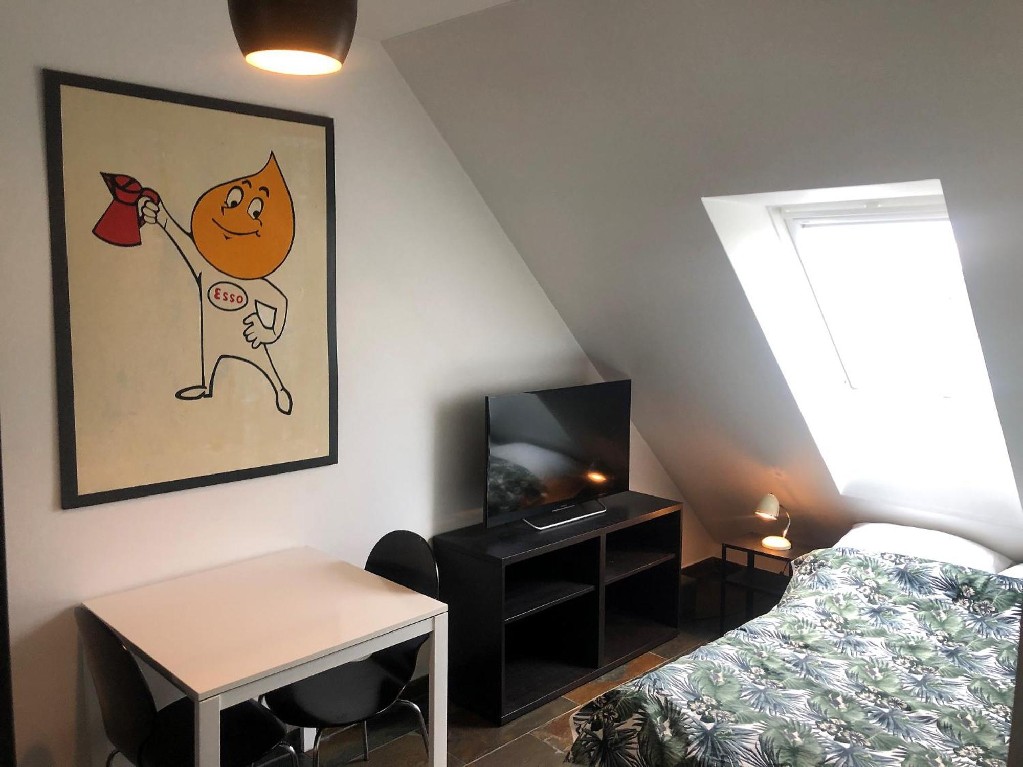 Penthouse In The Heart Of The Apartment Kopenhagen