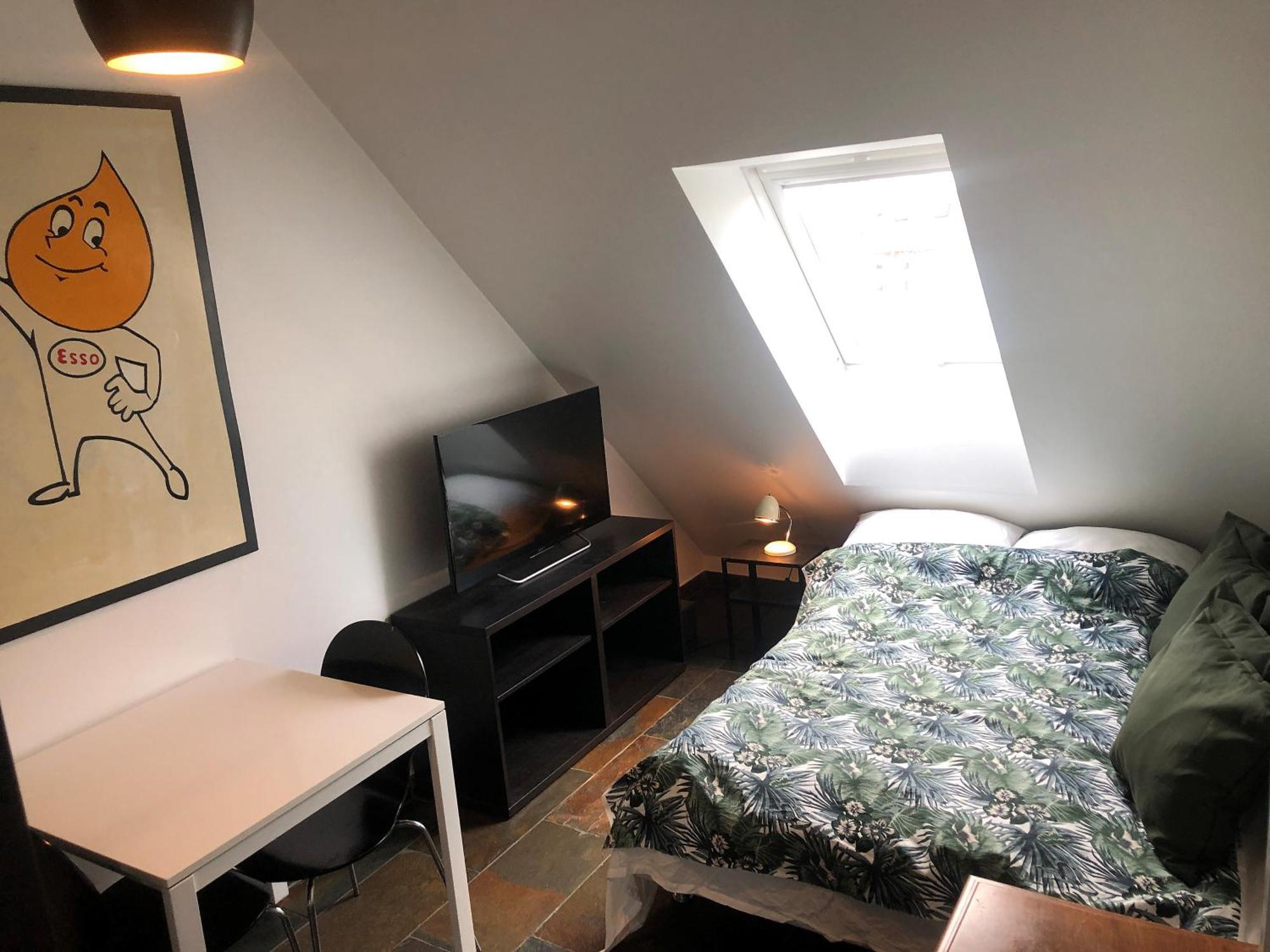 Apartment Penthouse In The Heart Of The Kopenhagen